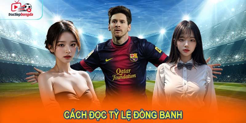Hướng dẫn chi tiết cách đọc tỷ lệ đồng banh (Ảnh minh họa!)