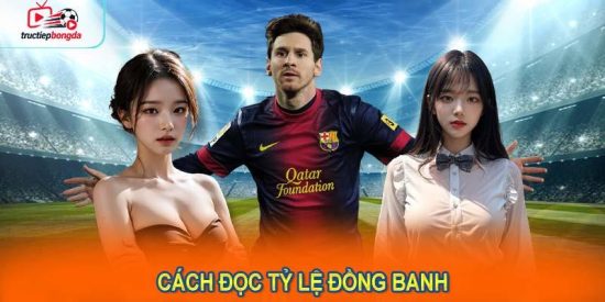 Hướng dẫn chi tiết cách đọc tỷ lệ đồng banh (Ảnh minh họa!)
